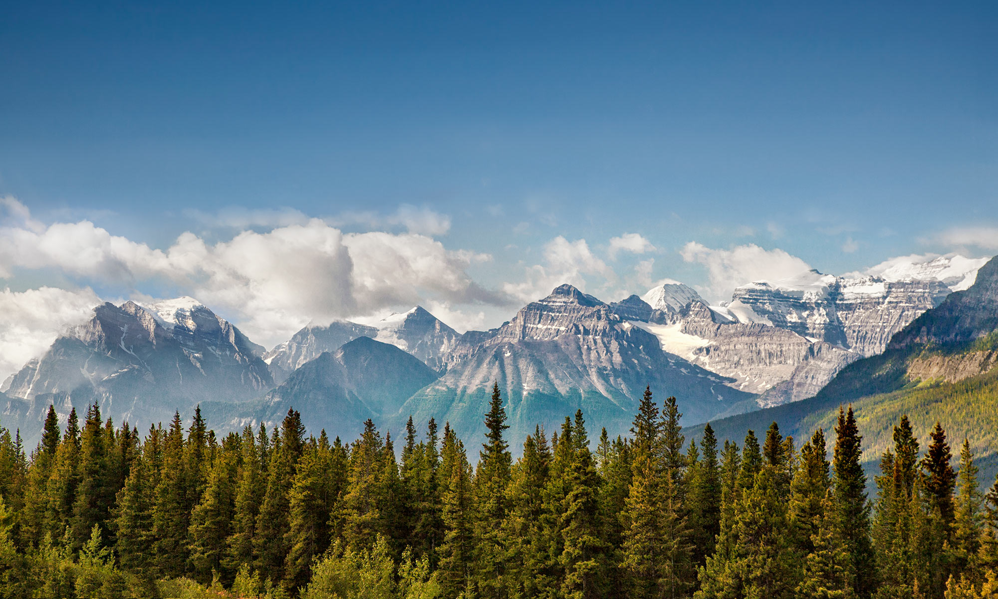 Panoramic view of snow capped rocky mountains with a line of forest tree in foreground