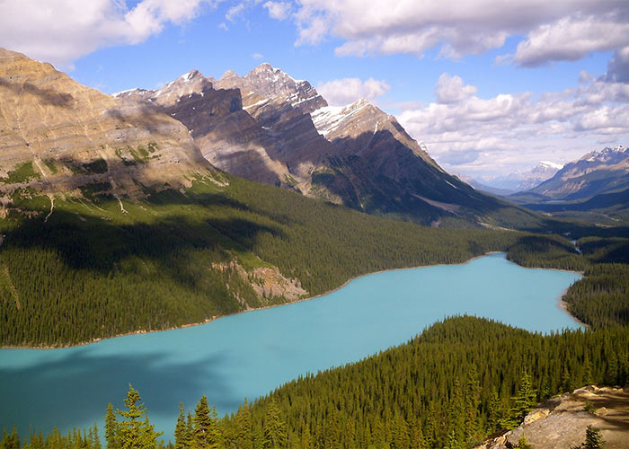 Peyto Lake from viewing platform on sunny summer day