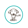 dog friendly room icon