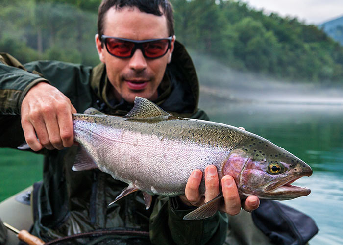 Fisherman holding the catch of Rainbow trout