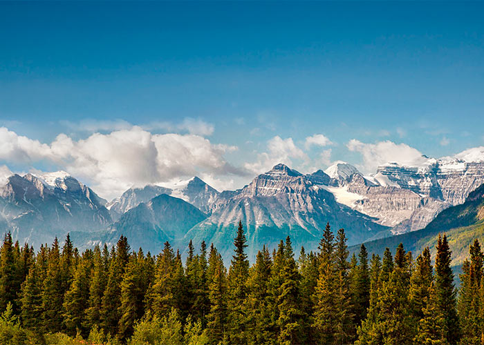 Jasper Highway views