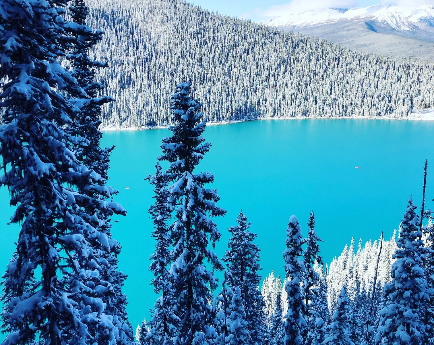 Winter Wonderland - Lake Louise inn