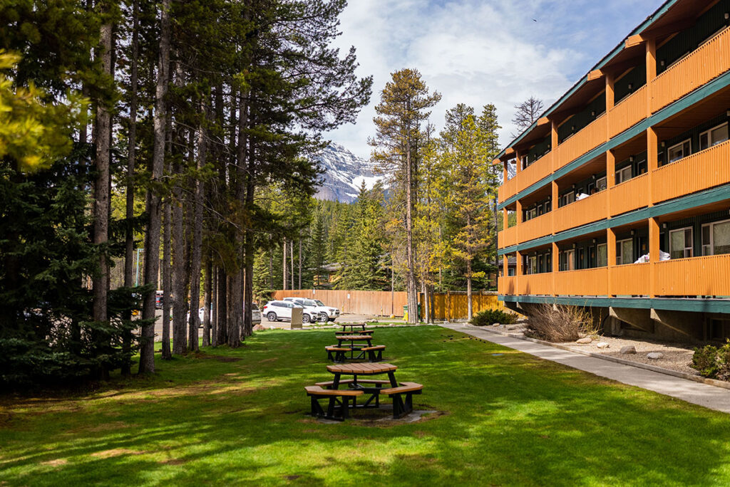 picnic tables next to hotel with great view in grassy area next to trees