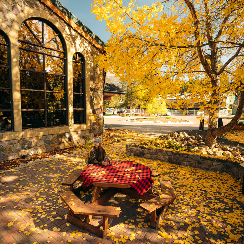 womain sitting at picnic table drinking tea Surrounded by yellow larch trees at resort