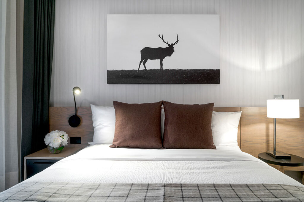 Modern hotel room at the Lake Louise Inn, Alberta, featuring mountain-inspired decor with elk artwork above a neatly made bed, offering convenient accommodation for visitors exploring Banff National Park during larch season.