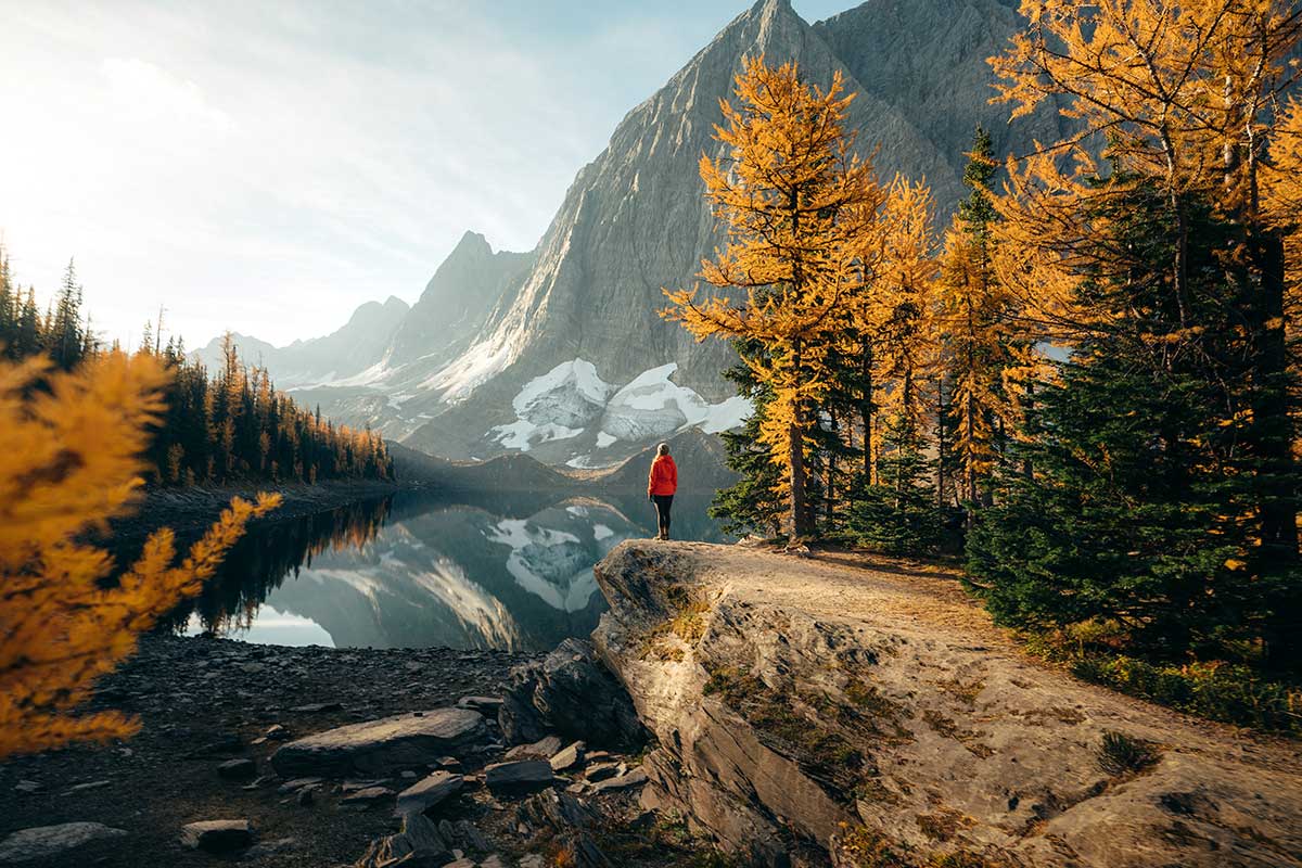 Visitor standing on a rocky lakeshore surrounded by golden larch trees during peak larch season near Lake Louise, Alberta, with snow-dusted peaks of the Canadian Rockies reflected in a calm mountain lake.